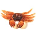 thumbnail image 1 of Simulation 8CM 7.8G Crab False Bait PVC 8cm fish crankbaits fish Soft Fish Lures Angling Tackle Fishing Acessories Color Random, 1 of 9