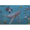 thumbnail image 1 of Requins Baleines Sous-Marine Nature Egean Bleu Papier Peint Frontière Retro Conception, Rouleau 15' x 9", 1 of 3