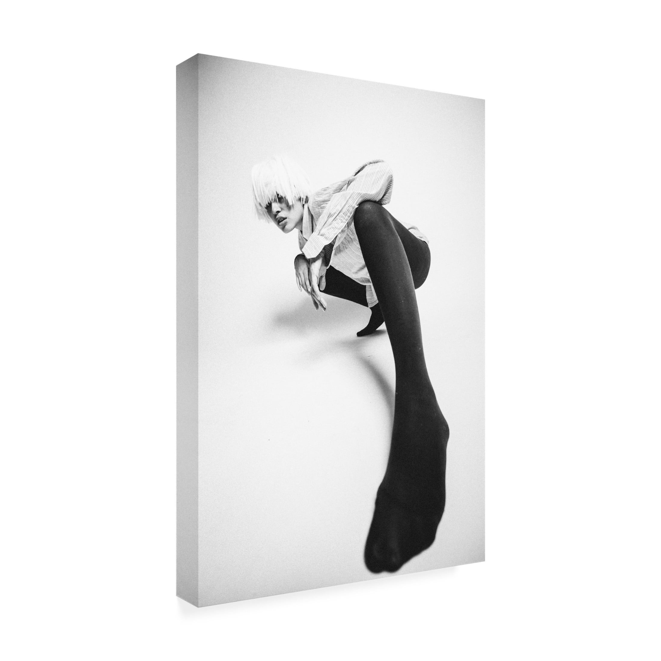 Canvas Wall Art - Artem Vasilenko 'Monochrome' Wall Art for Living Room, Bedroom, or Office D?cor by Trademark Fine Art - 22 x 32 Inches