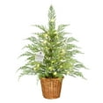 thumbnail image 3 of 24" Pre-Lit Green Cypress Artificial Christmas Tree with 30 Warm White Twinkle LED Lights, by My Texas House, 3 of 6