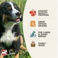 thumbnail image 3 of fromm family foods gold large breed 15 lb puppy dry food, 3 of 10