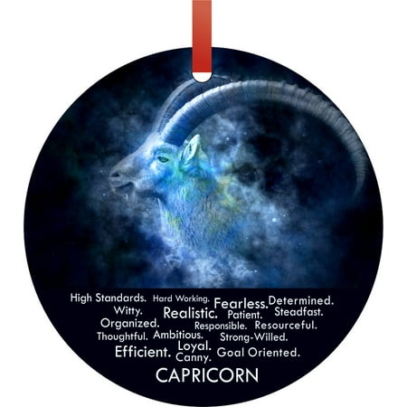 Christmas Character Zodiac Capricorn Character Personality Traits Round Shaped Flat Aluminum Semigloss Christmas Ornament Tree Decoration ()
