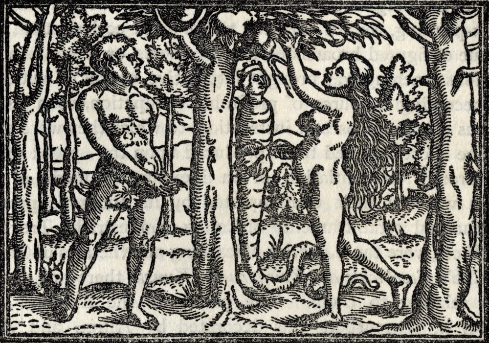 The Fall Of Adam And Eve After Hans Holbein Facsimile From The Bible Printed By Christoffel Froschover Zurich 1531 From A Catalogue Of A Collection Of Engravings Etchings And Woodcuts By Richard Fishe