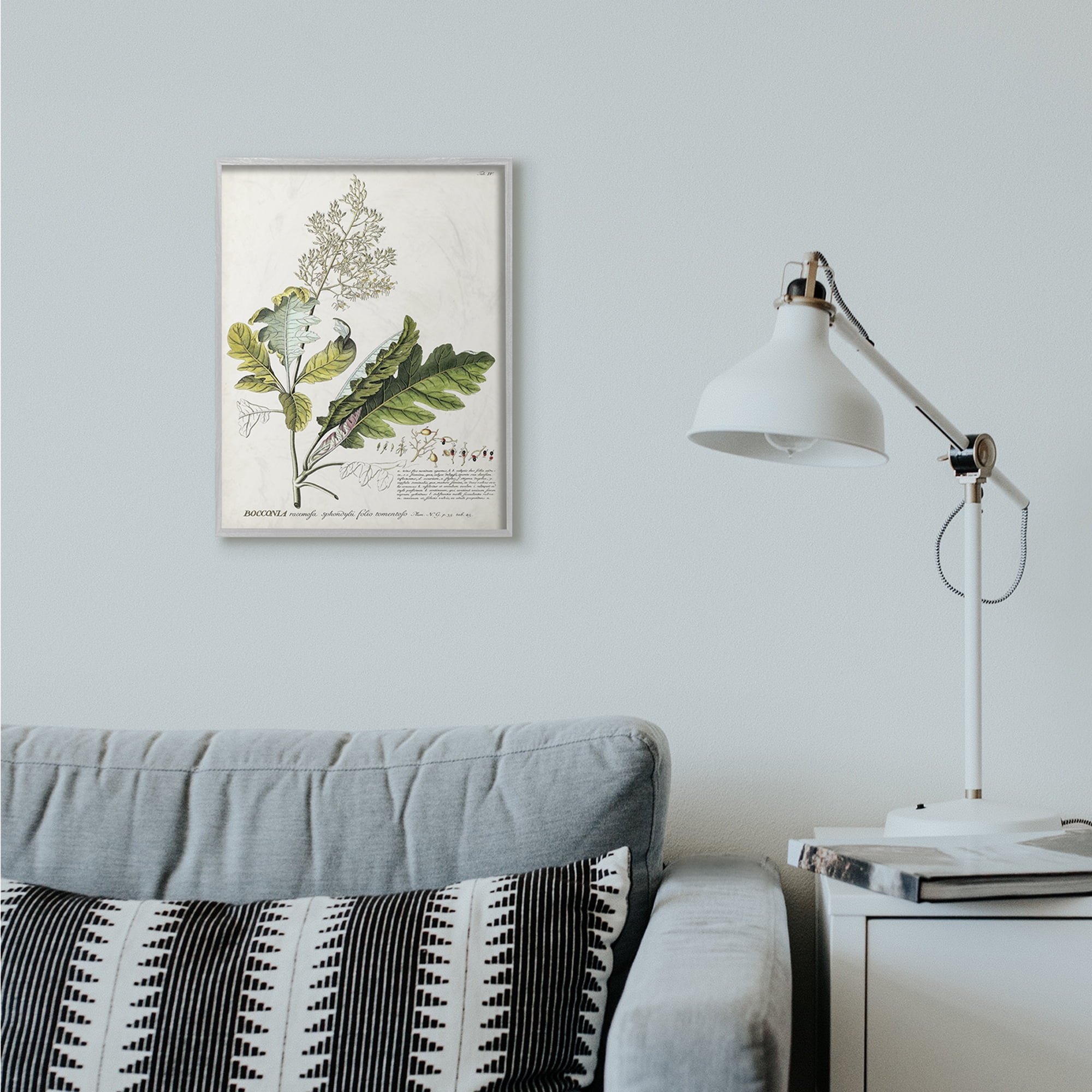 Stupell Industries Botanical Plant Illustration Leaves Vintage Design Drawings Gray Framed Art Print Wall Art, 16x20, by Unknown
