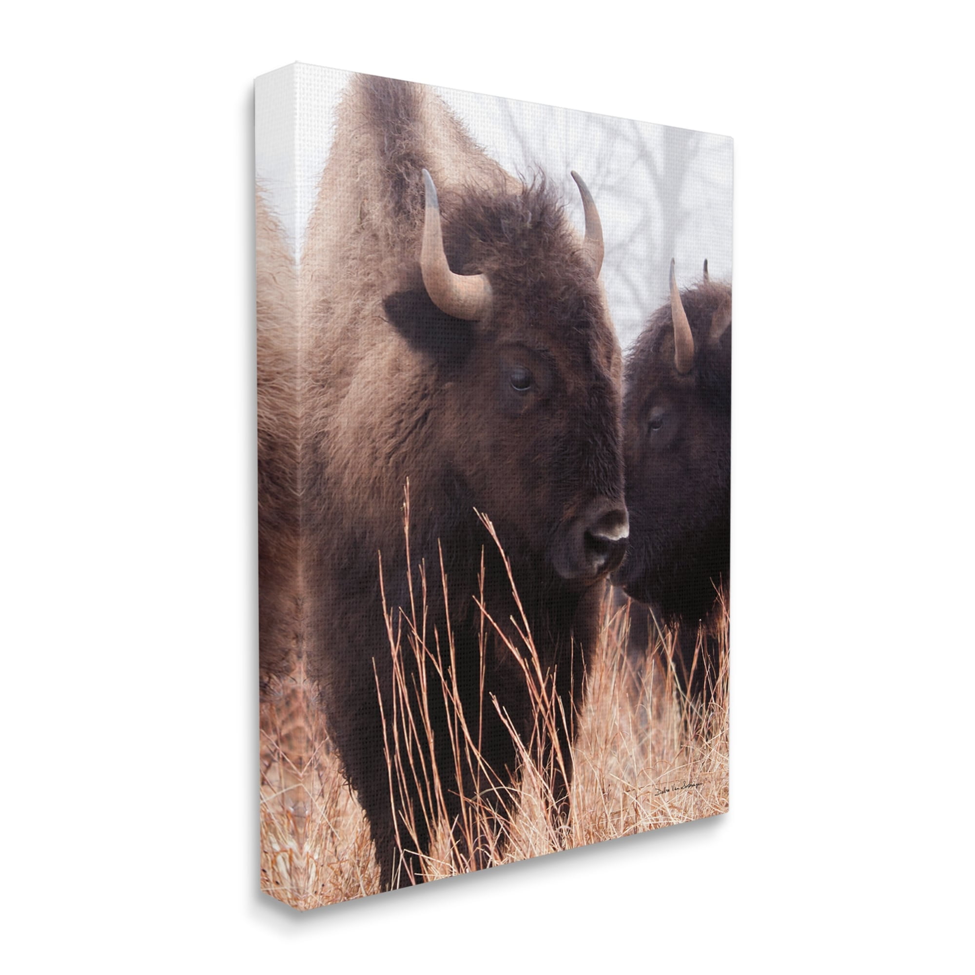Stupell Industries Bison Cattle Couple Tall Grass Autumn Country Photography, 36 x 48,Design by Debra Van Swearingen