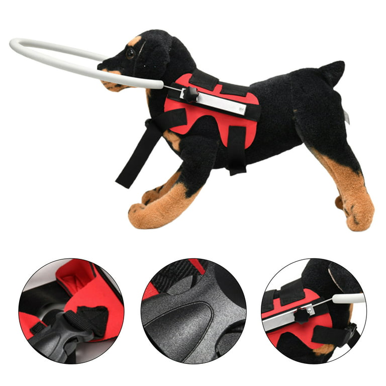 Home - Blind Dog Toys