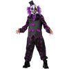 Bearded Clown Men's Adult Halloween Costume