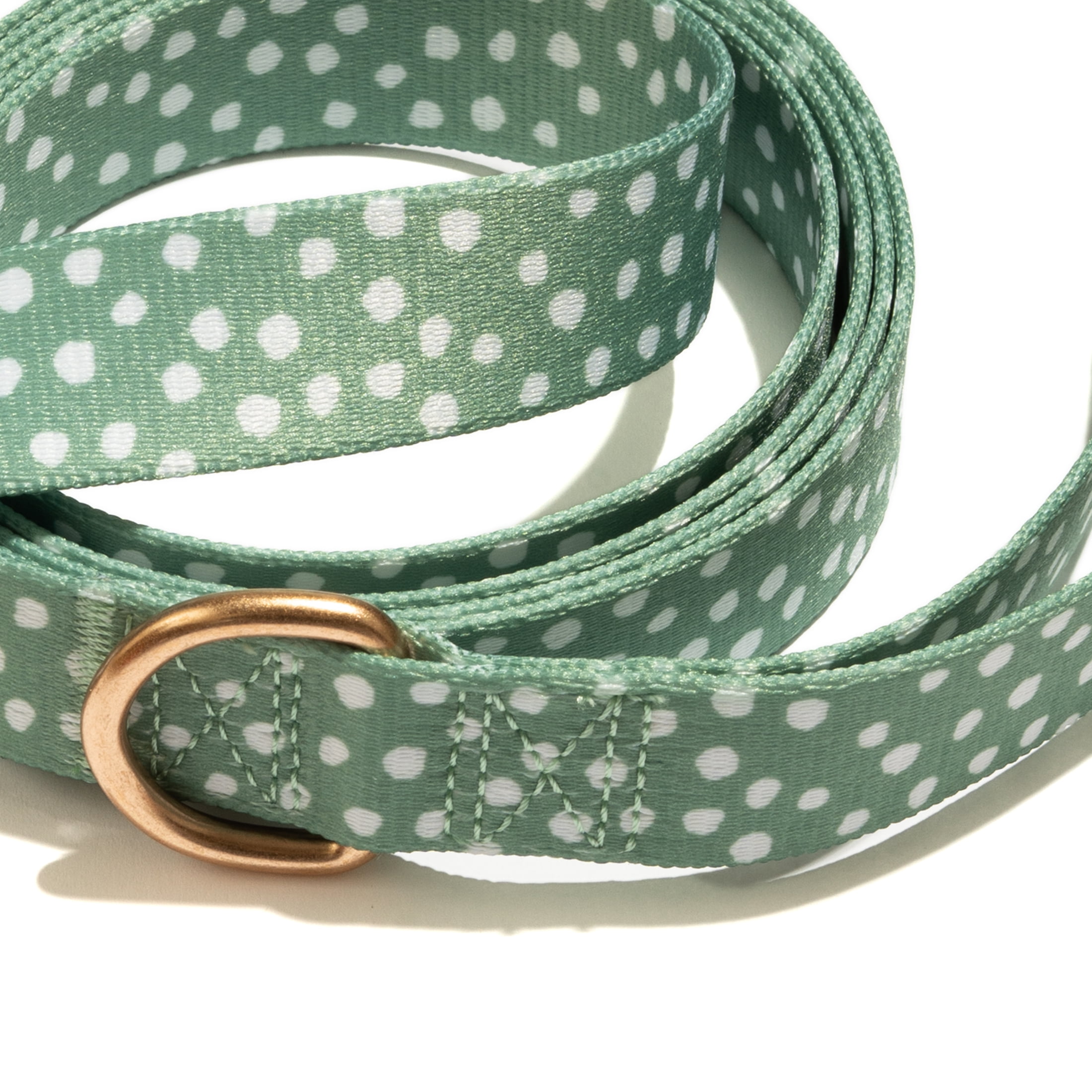 Vibrant Life Fashion Leash, 6 ft, Blue Grid, L