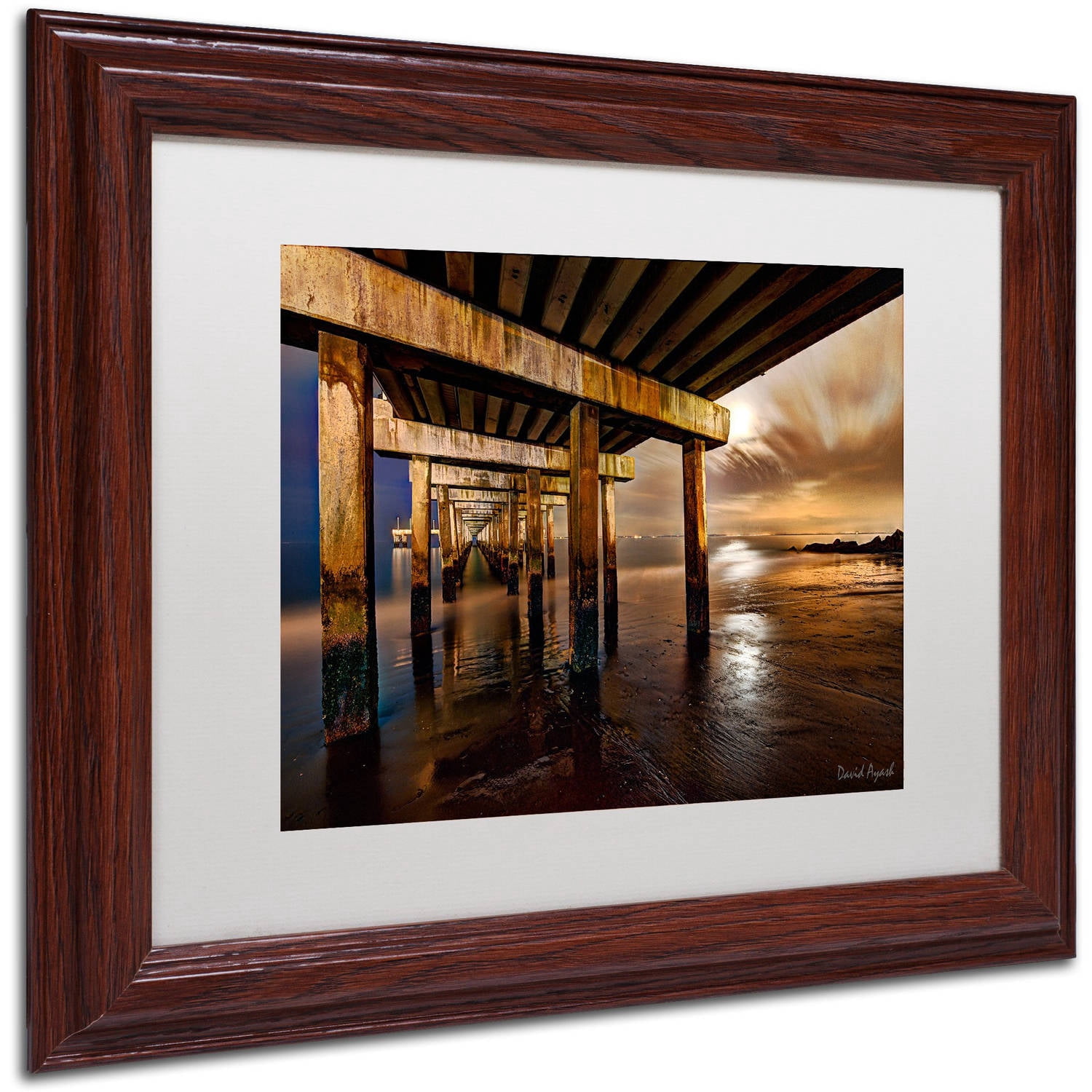 Trademark Fine Art "Coney Island Pier by Moonlight" Canvas Art by David Ayash White Matte, Wood Frame