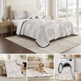 thumbnail image 6 of Twin XL Quilt Set 68''x98'', Nautical Seashell Lightweight Bedspread Coverlet Set with 2 Pillow Shams, Summer Coastal Marine Shells Beige Breathable All Season Quilt Bedding for Dorm/Guest Room, 6 of 9