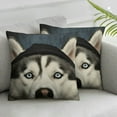 thumbnail image 2 of Nawypu  Head of Peeking Siberian Husky Dog Fun Plush Pillow Cases Standard Size Pillow Cover Soft &amp; Warm Zippered Bed Pillowcase, 2pc, 2 of 6