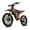 Orange, variant on BIGNIU BG-S PRO Electric Bike for Adults 740W Motor 60V 32AH E-Mountain Bike UL2849