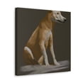 thumbnail image 5 of "Dingo in Minimalism" - Canvas, 5 of 25