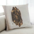 thumbnail image 1 of Ahgly Company Foods Brownie Indoor Throw Pillow, 18 inch by 18 inch, 1 of 6