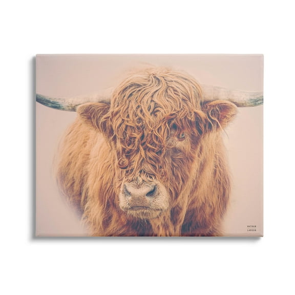 Stupell Industries Highland in Winter Fog Brown Cow Photograph Gallery Wrapped Canvas Print Wall Art, Design by Nathan Larson