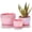 Pink, variant on Pink Gold Ceramic Flower Pots, 4"+5"+6" Inch Small Glazed Succulent Planters with Drainage Hole,Modern Indoor Decorative Plant Pots Set of 3,Garden Pots with Saucer