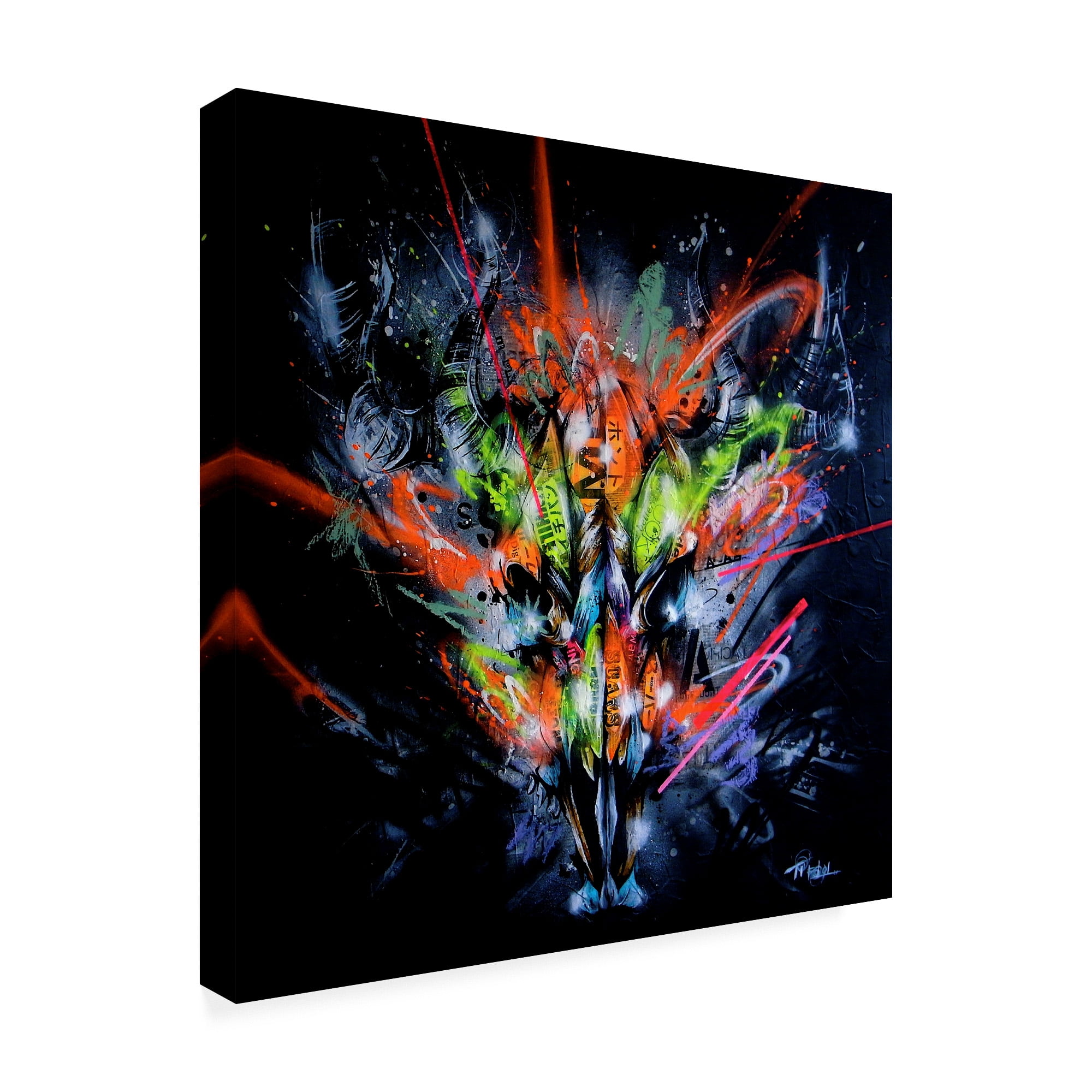 Trademark Fine Art 'Land' Canvas Art by Taka Sudo