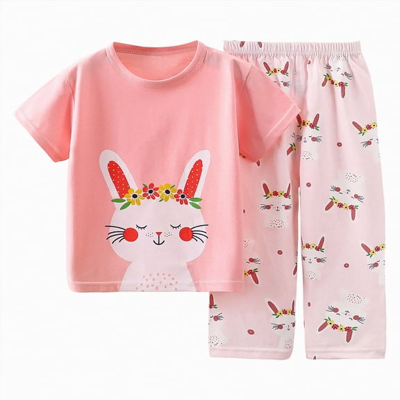 TOWED22 Toddler Girl Boy Shorts Sets Summer Clothes 2pcs Lovely Graphic Short Sleeve Tee Shirt Elastic Waist Shorts Pockets(Light Pink,18-24 M)