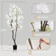 thumbnail image 5 of Árbol Sintético de Flor de Cerezo Blanco – 6.5 Pies (78 pulgadas) de Altura, Estilo Japonés, en Maceta, Decoración Realista Hecha a Mano, Planta Artificial Natural, 5 of 6