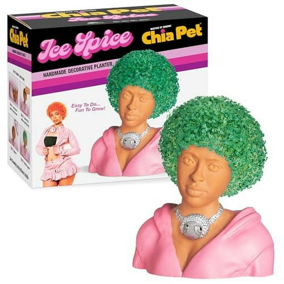 Chia Pet Ice Spice Handmade Decorative Planter by JEI
