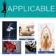 thumbnail image 5 of Bienvenido Calcetines de yoga para mujer, calcetines antideslizantes, calcetines hasta la rodilla, Pure Barre, ballet, danza, 5 of 5