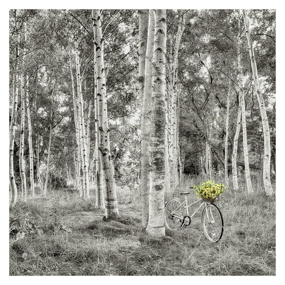 Masterpiece Art Gallery Sunflower Bicycle Ride Through The Forest By Alan Blaustein Canvas Art Print 30" x 30"