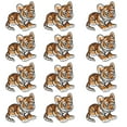 thumbnail image 2 of Pegatinas de tela para hacer tú mismo, 12 piezas de pegatinas de tela bordadas, parche de tigre, parche de tela para hacer tú mismo, probado y confiable, 2 of 14