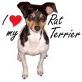 thumbnail image 2 of CafePress - Rat Terrier Mug - 11 oz Ceramic Mug - Novelty Coffee Tea Cup, 2 of 3