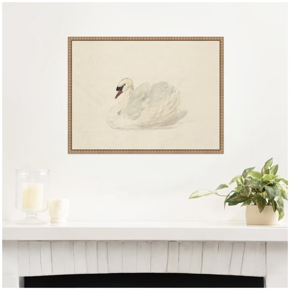 Kate and Laurel Framed Canvas Wall Art Print Knobbelzwaan 1792 Aert Schouman by Nostalgia Prints, 24 x 18 Sylvie Beaded Rustic Natural Frame, Traditional, Animal Art for Wall Decor