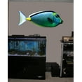 thumbnail image 2 of Wallhogs Naso Tang Cutout Wall Decal, 2 of 2