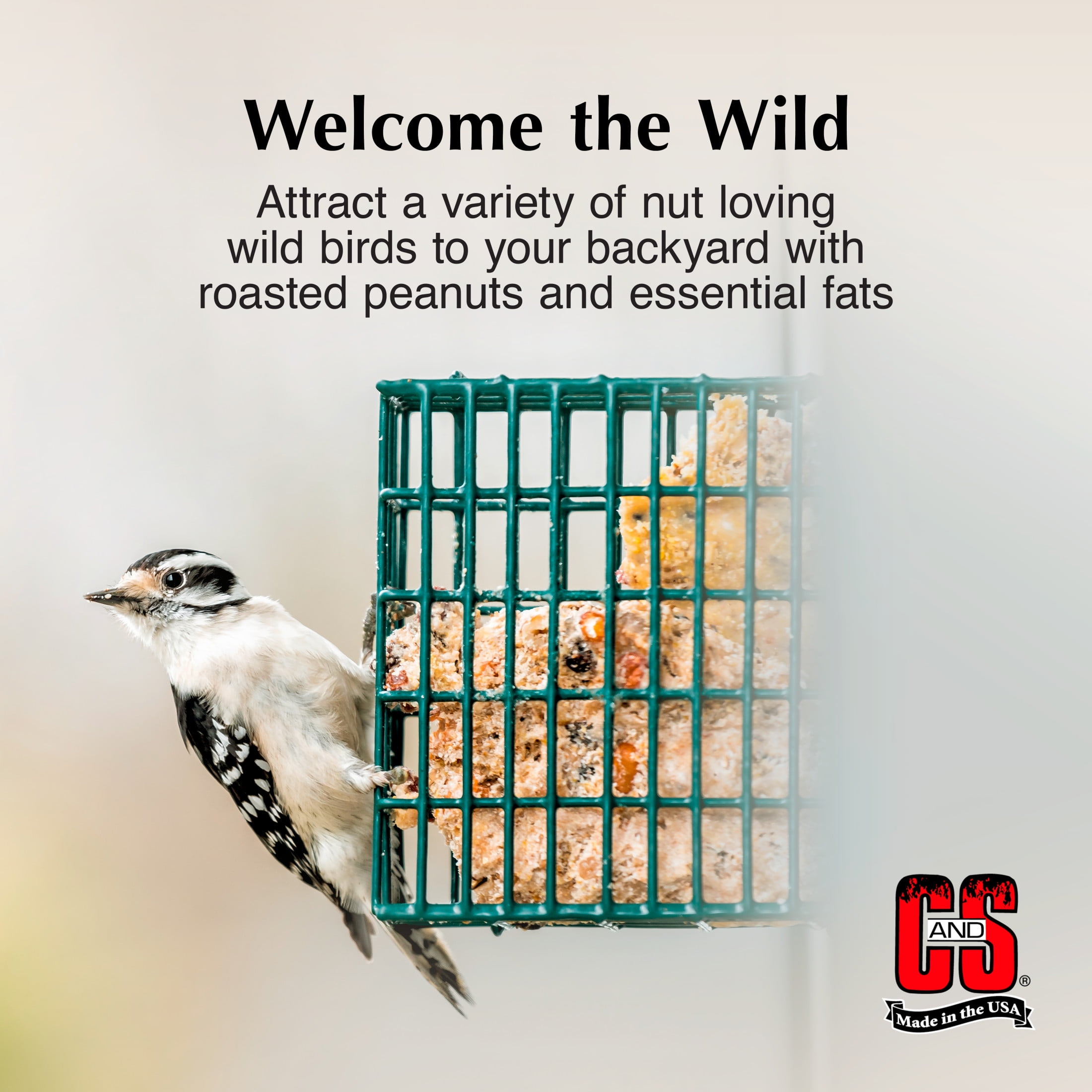 (4 pack) C&S Nutty Suet Treat, for Wild Birds, 11.75 Ounces, 1 Pack, Fresh