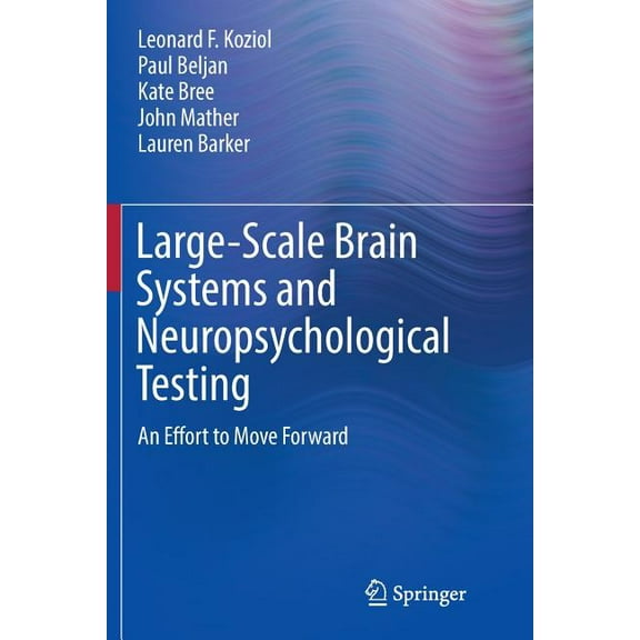 Springerbriefs in Neuroscience Large-Scale Brain Systems and Neuropsychological Testing: An Effort to Move Forward, (Paperback)