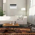 thumbnail image 3 of Friedrich UET12A33A air conditioners|thru-the-wall, 3 of 5