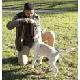 thumbnail image 2 of Pet Life ® 'Pull Away' All Natural Jute Rope and Tennis Ball Dog Toy, 2 of 2