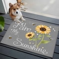 thumbnail image 3 of 2x3 Ft Entryway Area Rug, You Are My Sunshine Kitchen Rug Runner Washable Floor Mat, Yellow Sunflowers Cute Bees Heart Grey Non Slip Indoor Door Mat Throw Carpet for Bathroom Living Room Bedroom, 3 of 8