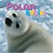 thumbnail image 1 of Polar Babies (Animal Babies), 1 of 1