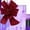 A, variant on Giant 39.37-Inch Pleated Paper Flower for Weddings, Parties, and Home Decor