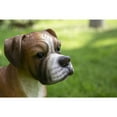 thumbnail image 2 of Hi-Line Gift Ltd. Boxer Dog Standing, 2 of 6