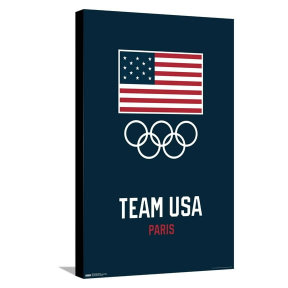 Team USA - Logo Blue Canvas Wall Poster, 14.725" x 22.375"