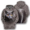 thumbnail image 2 of Sudadera con capucha con estampado de gato bonito para hombres, sudadera con estampado 3D de animales domésticos, suéteres casuales de calle para niños, camisetas de manga larga de gran tamaño, 2 of 5