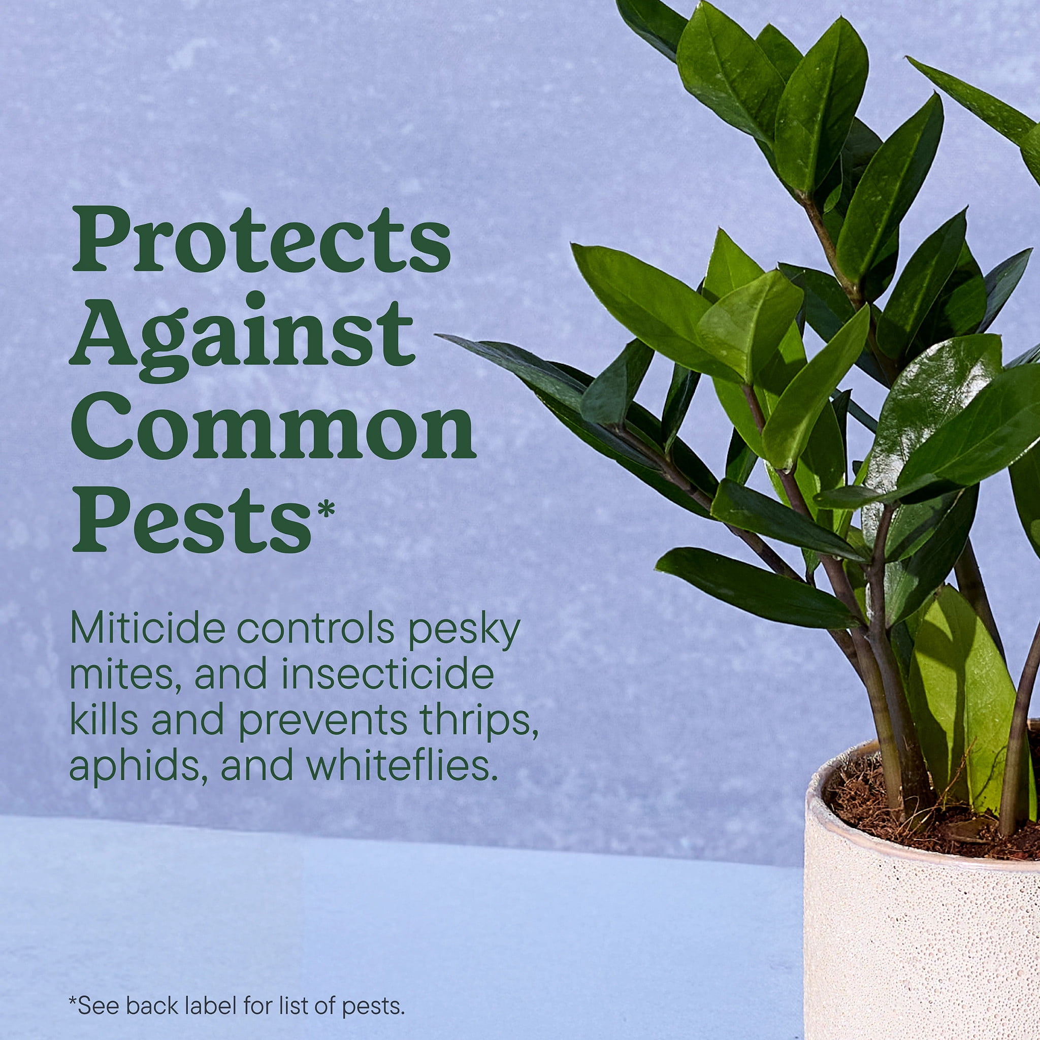 Miracle-Gro Plant Care Leaf Protect and Shine, 4-in-1 Pest Control Spray, 8 fl. oz.
