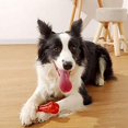 thumbnail image 2 of Pet Chew Toy Bone Creative Chewable Beef Flavor Funny Interactive Pet Playing Toy Interactive Tough Stick Puppy Toy, 2 of 8