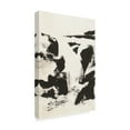 thumbnail image 2 of Trademark Fine Art 'Sumi Waterfall VI' Canvas Art by Chris Paschke, 2 of 3
