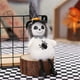 thumbnail image 5 of Decoración navideña de Halloween con colgante de muñeca de bruja fantasma de cien, 5 of 5