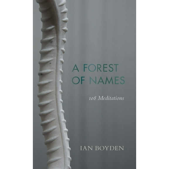 Wesleyan Poetry: A Forest of Names (Hardcover)