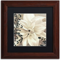 Trademark Fine Art "Winter White II" Canvas Art by Color Bakery Black Matte, Wood Frame