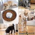 thumbnail image 2 of Cuenco para Perro Our Pets DuraPet Premium, 2 of 5