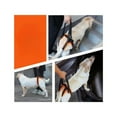thumbnail image 2 of XL Rear Leg Harness/Belt, 2 of 5