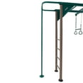 thumbnail image 4 of LIFETIME Outdoor Play Monkey Bar Adventure Swingset, 4 of 7
