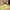 Green, variant on 100Fens Plastic Cutting Boards For Kitchen Dishwasher Safe Extra Large Cutting Board For Meat With Juices Grooves Easy Grip Handle